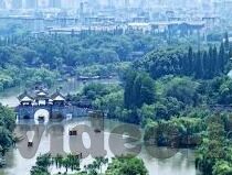 麻豆文化传媒官网最新下载-麻豆文化传媒，探索数字娱乐新境界的下载之旅