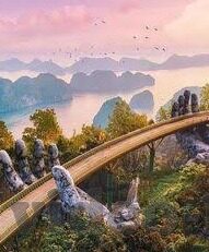 下载大象传媒客户端-下载大象传媒客户端，解锁数字娱乐新体验